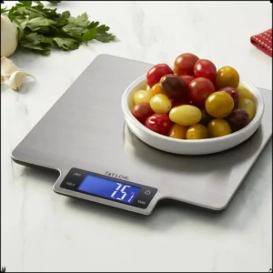 Home Accurate Digital Scale, 22lb Stainless Steel
