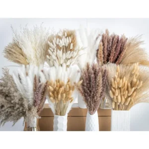 Natural Dried Pampas Grass Boho Home Decor